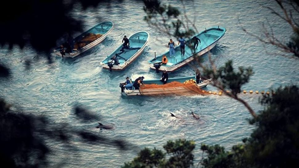 Film Dokumenter tentang Laut Indonesia Tayang di Netflix